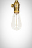 Vintage Style Edison Squirrel Cage Filament Bulb - Junkyard Lighting