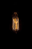 Vintage Style Edison Squirrel Cage Filament Bulb - Junkyard Lighting