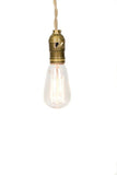 Vintage Style Edison Squirrel Cage Filament Bulb - Junkyard Lighting