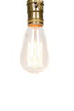 Vintage Style Edison Squirrel Cage Filament Bulb - Junkyard Lighting