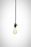 Simply Modern Bare Bulb Polished Nickel Socket Pendant Light - Junkyard Lighting