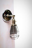 Caged Edison Adjustable Wall Sconce - Polished Nickel - Junkyard Lighting
